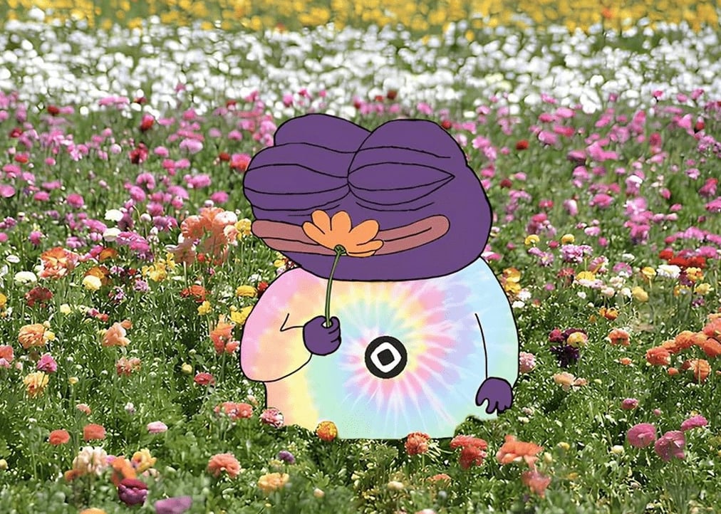 ZeroProof pfp