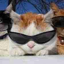 Ellen Tate (ellentate) Farcaster social identity (Fname handle) PFP