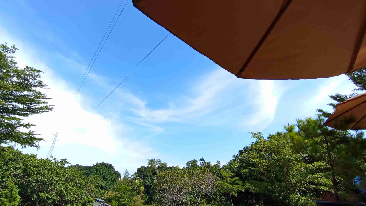 lomlom99.lens Lens social identity (.lens handle) PFP