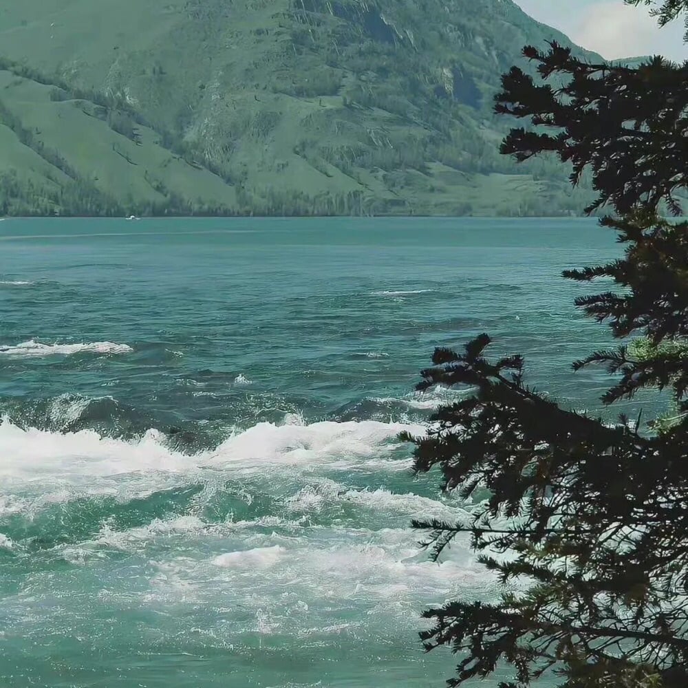 zhangzifang Farcaster social identity (Fname handle) PFP