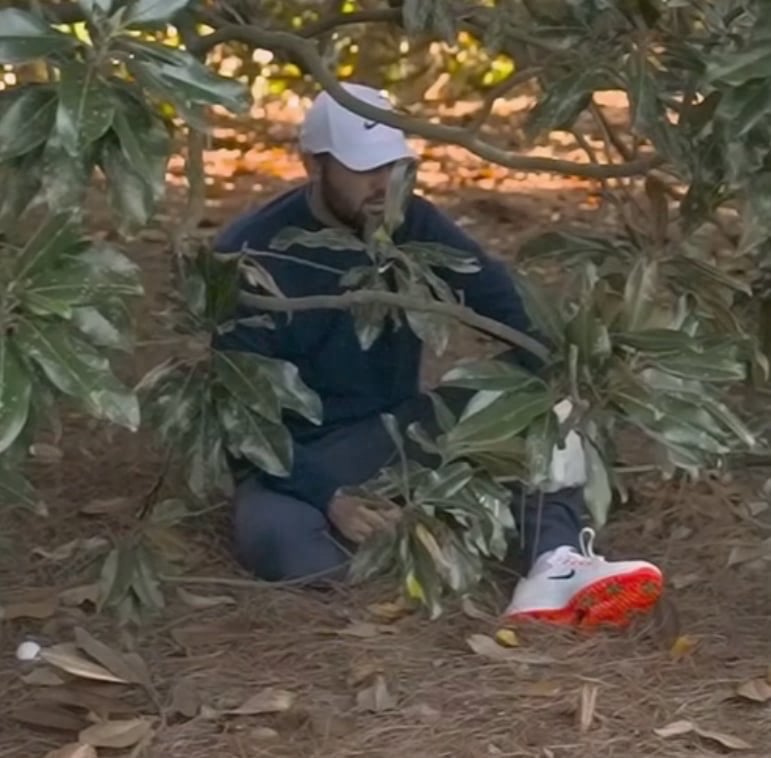 Embed from @nounishprof