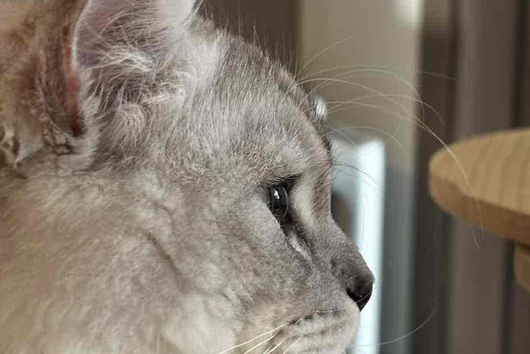 Atbens (atbens) Farcaster social identity (Fname handle) PFP