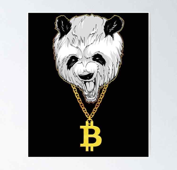 PandaKing pfp