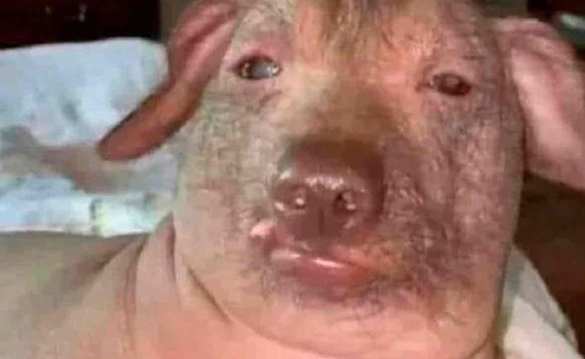 Onton (onton.lens) Lens social identity (.lens handle) PFP