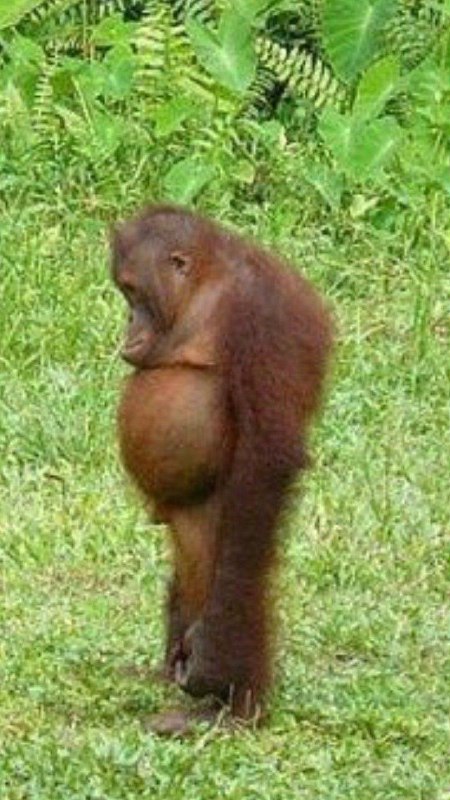 Vlad T (vladiq) Farcaster social identity (Fname handle) PFP