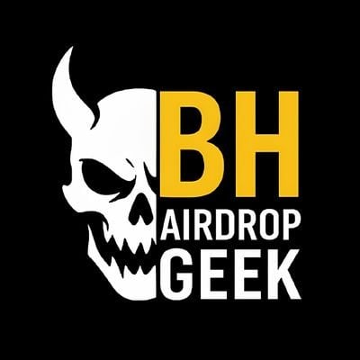 BH Airdrop GEEK pfp