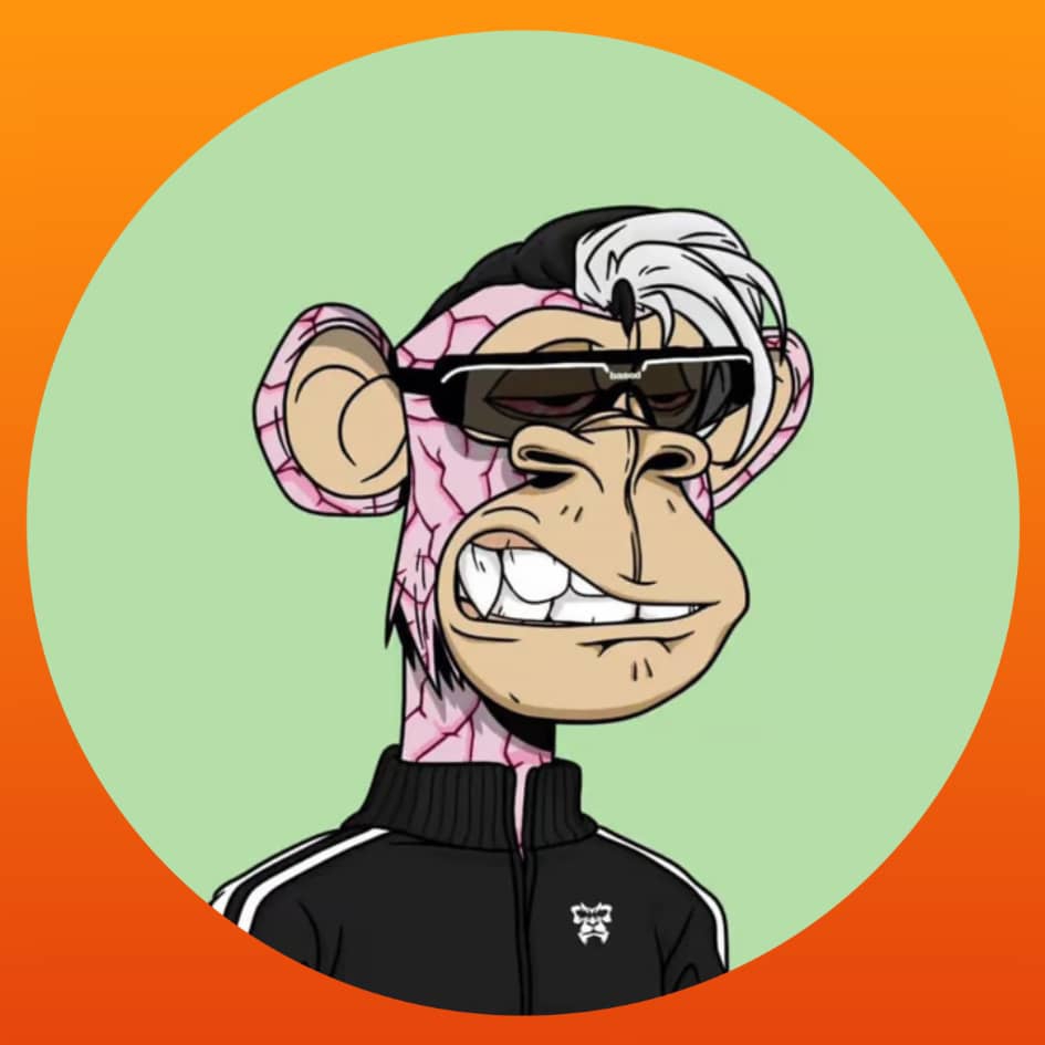 monday ogah 🟧 pfp