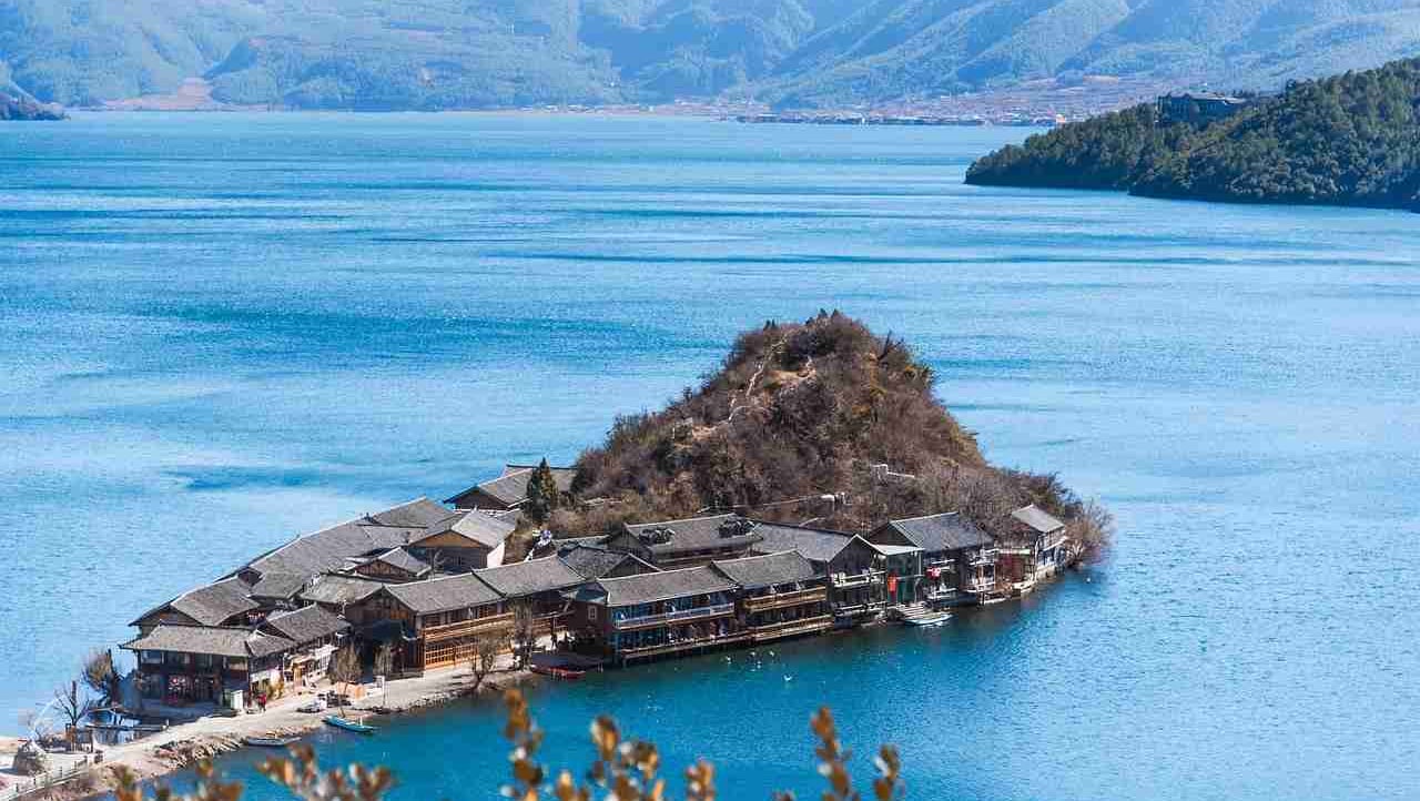 Marcus (layadroste) Farcaster social identity (Fname handle) PFP