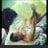 Shenlong Ngo pfp