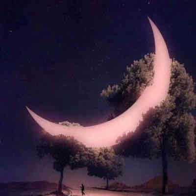 Carter King (shticks0z) Farcaster social identity (Fname handle) PFP