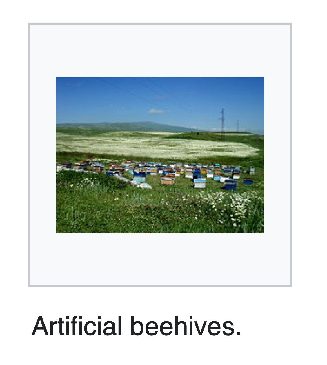 Artificial beehives