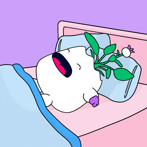 Embed from @meonbase