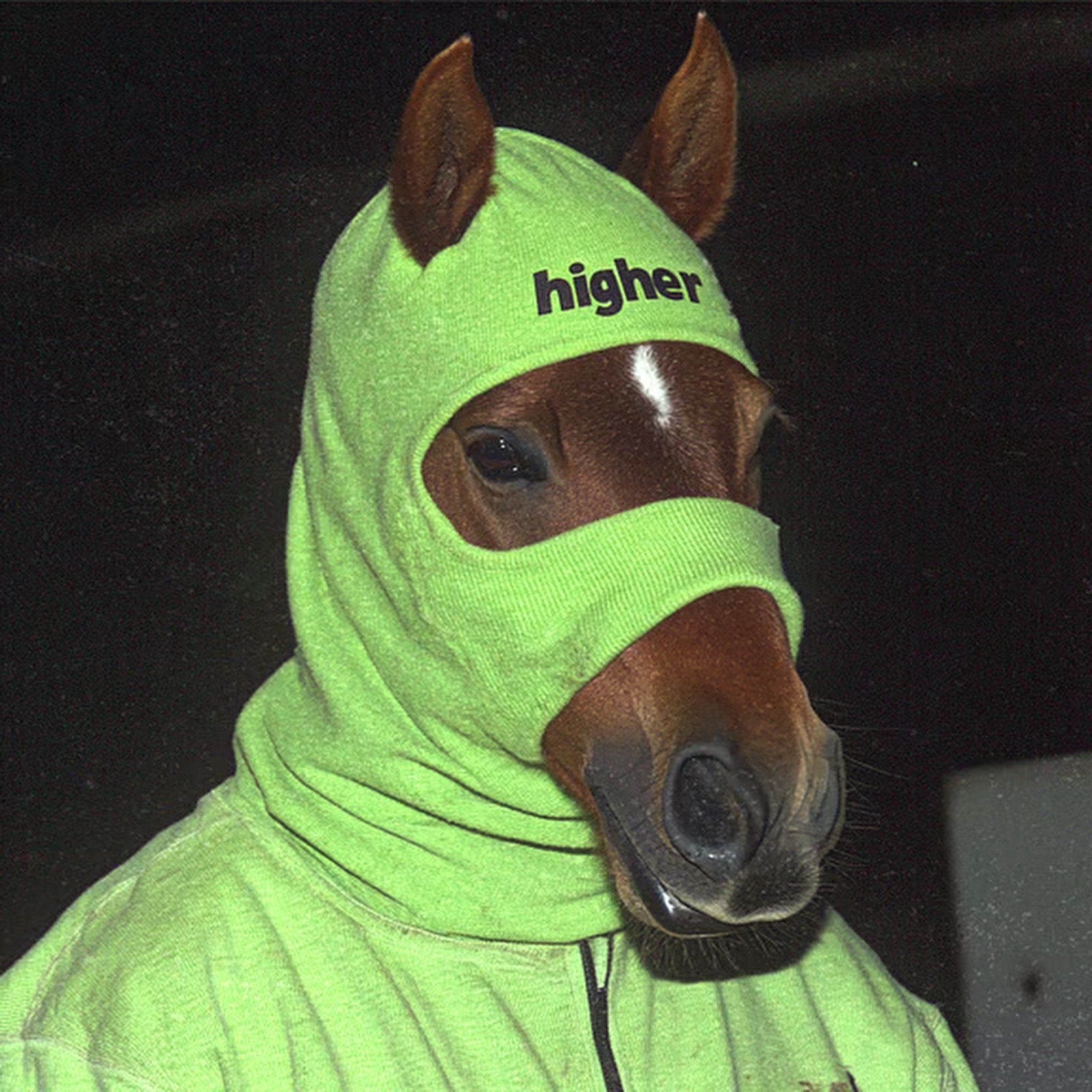 Embed from @eggcooker