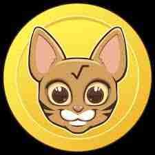 abkmudgalguruji (abkmudgalguruji.lens) Lens social identity (.lens handle) PFP