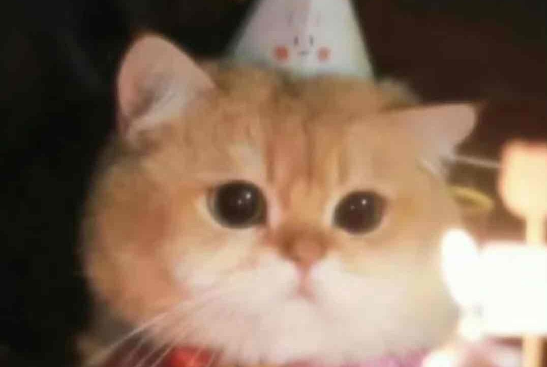 Liushisan (liushisan) Farcaster social identity (Fname handle) PFP