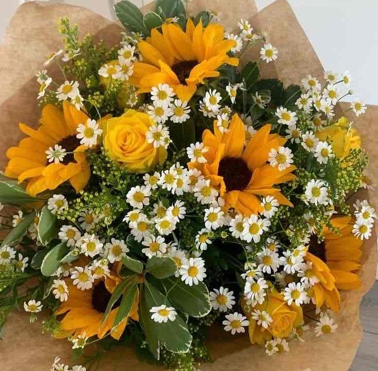 Sunflower pfp