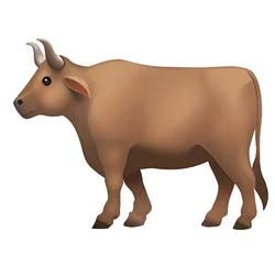 Moo