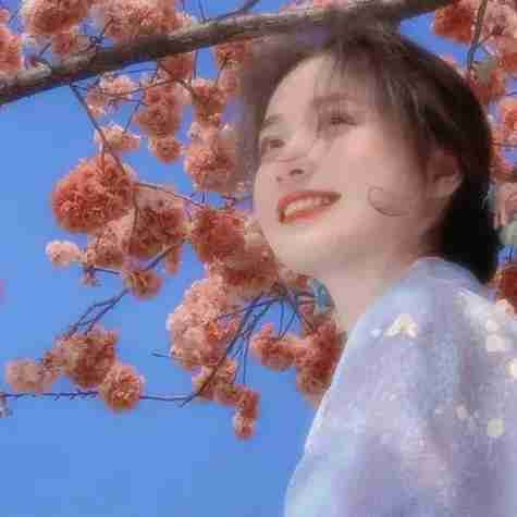 DSH103 (dsh103) Farcaster social identity (Fname handle) PFP