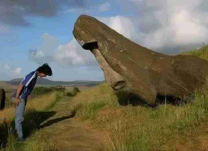 resuia.lens Lens social identity (.lens handle) PFP