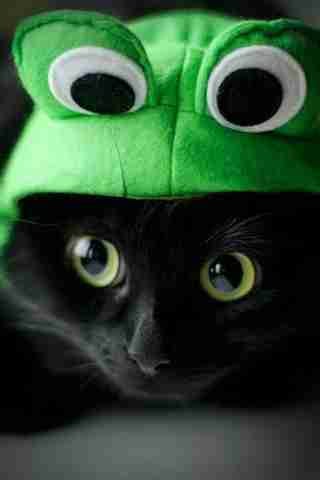 vortexecho67.lens Lens social identity (.lens handle) PFP