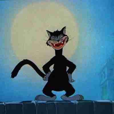 CQAlleycat (cqalleycat.lens) Lens social identity (.lens handle) PFP