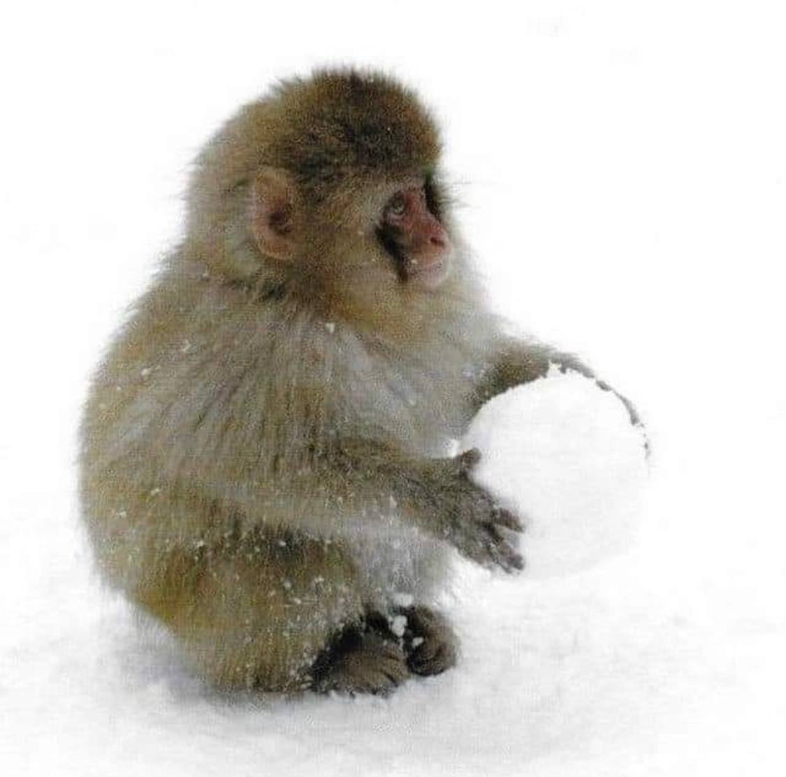 Dany  (cryptosex) Farcaster social identity (Fname handle) PFP