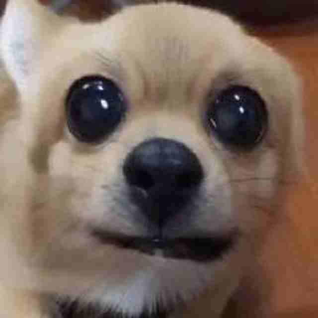 waynea66666.lens Lens social identity (.lens handle) PFP