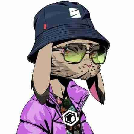 Preciousweb3🔶base.eth (preciousweb3) Farcaster social identity (Fname handle) PFP