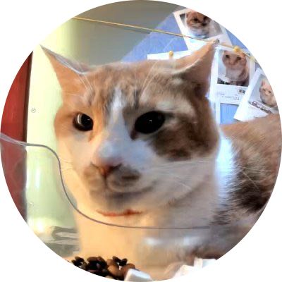 a111111a.lens Lens social identity (.lens handle) PFP