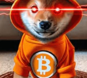 PachecoCrypto pfp