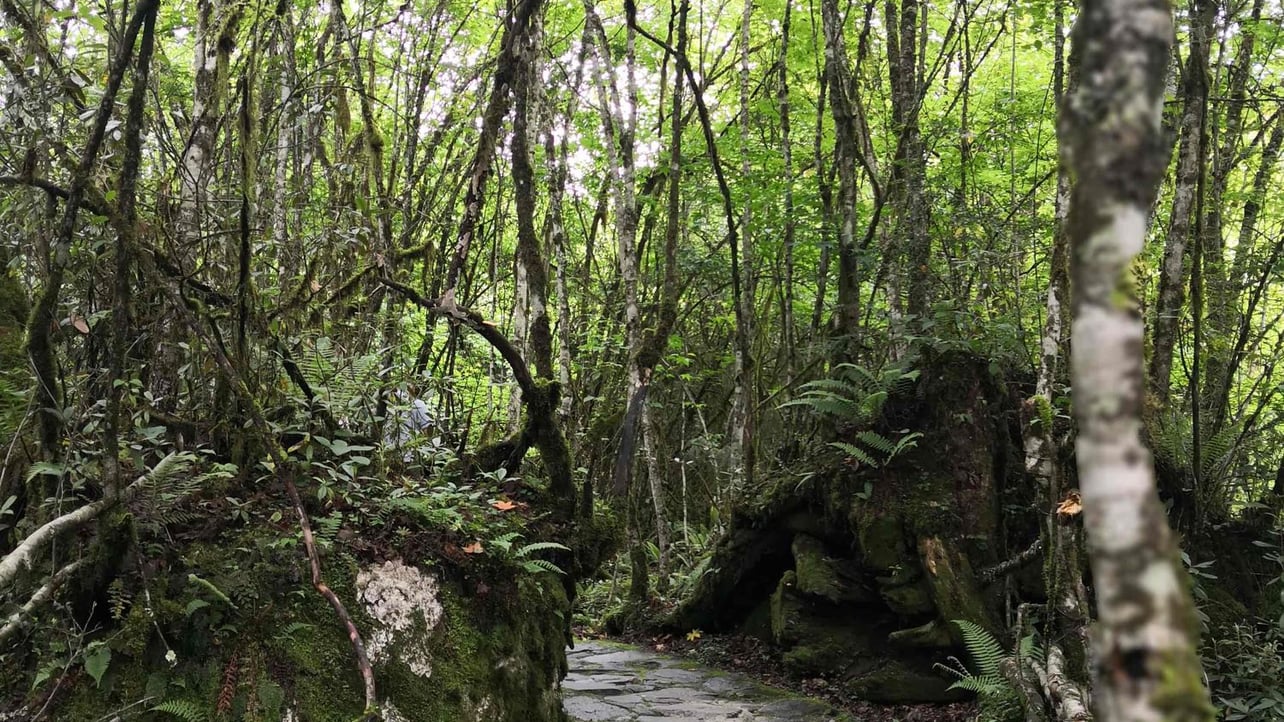 Fibcdjkbhfcnb (nzuleeq65) Farcaster social identity (Fname handle) PFP