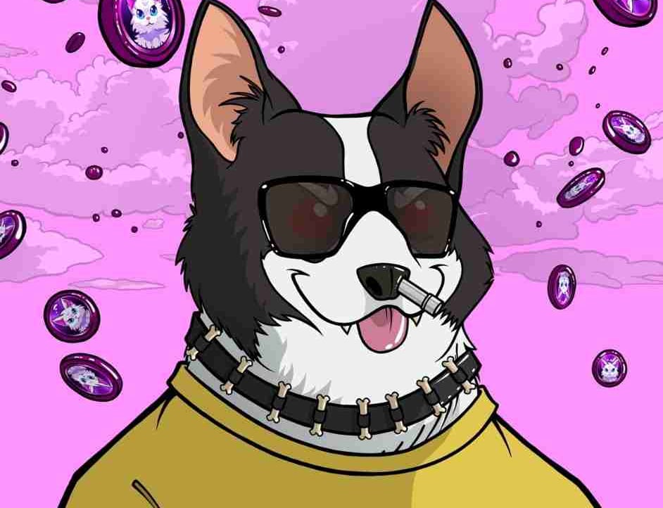 Humble_PR 👾 pfp