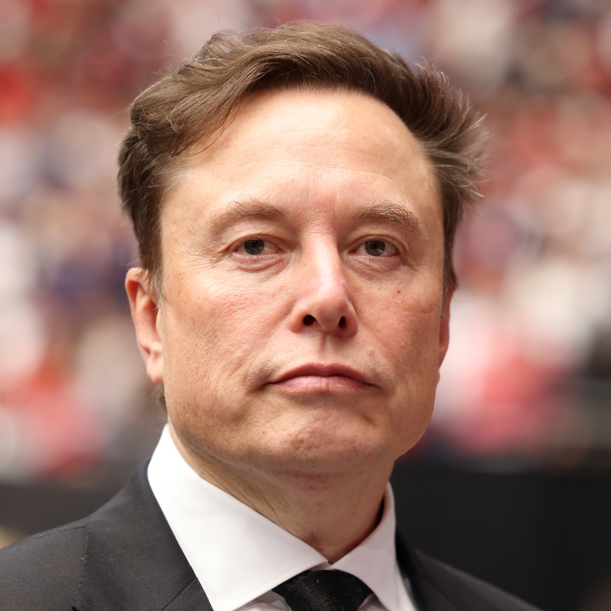 Elon Musk pfp