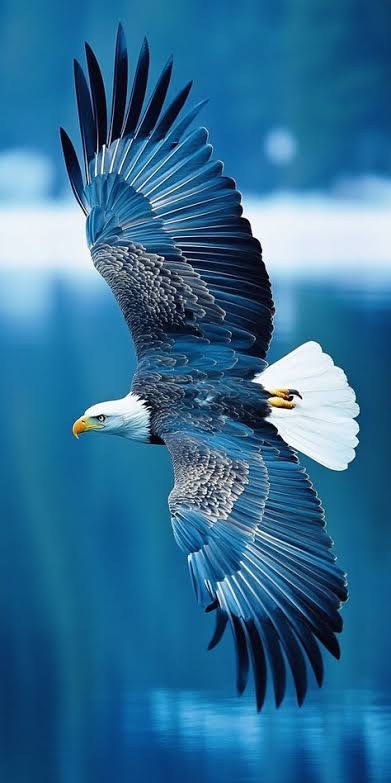 https://imagedelivery.net/BXluQx4ige9GuW0Ia56BHw/1a791911-b82f-43a8-6e20-1f7f5878f200/original