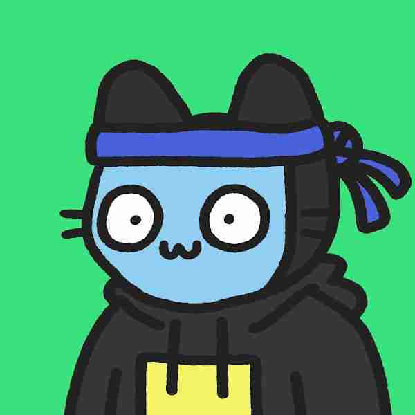 wizz pfp