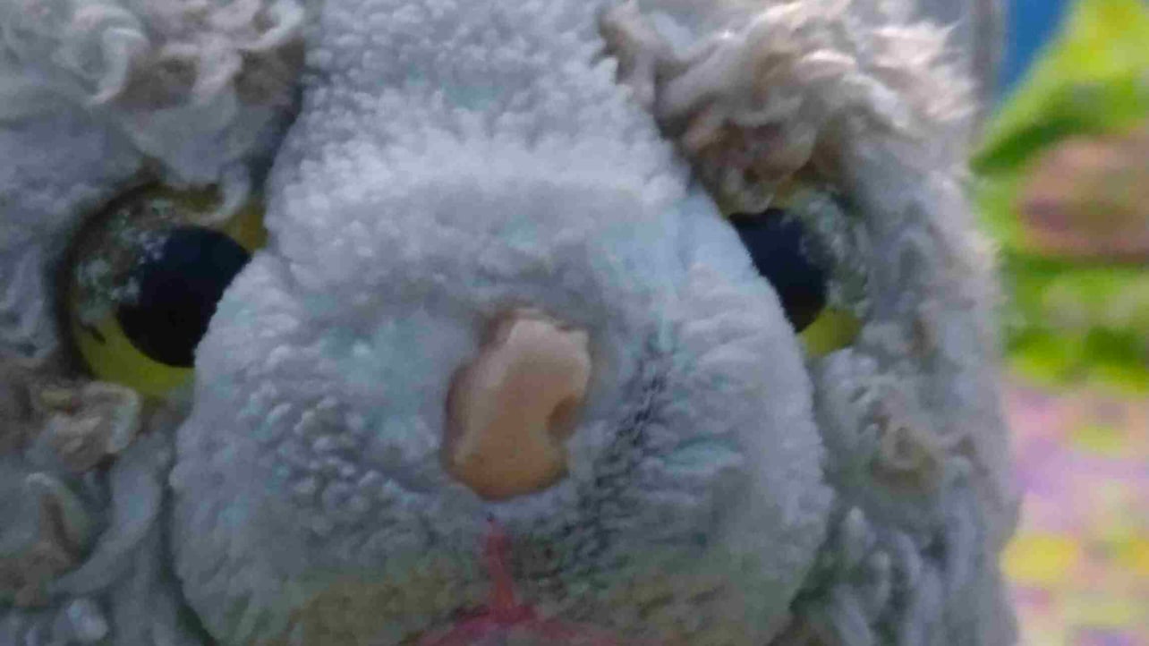 Seizo (seizogorsky) Farcaster social identity (Fname handle) PFP