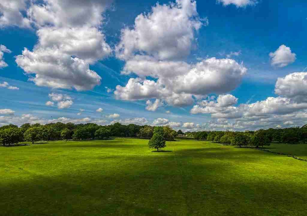 François du Gros (emilie33) Farcaster social identity (Fname handle) PFP