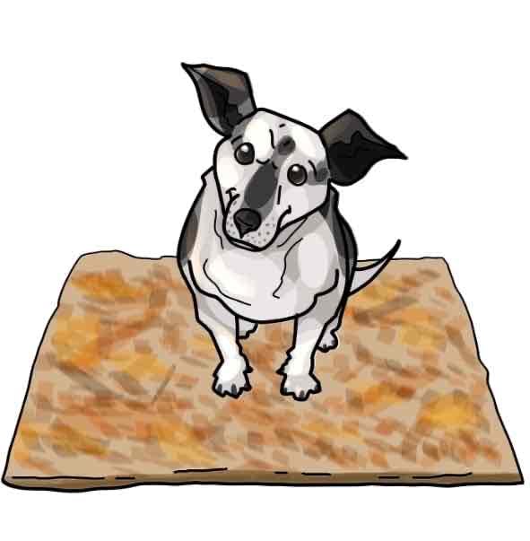 tinin.lens Lens social identity (.lens handle) PFP