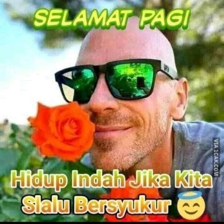 BOTOLMINYAK pfp
