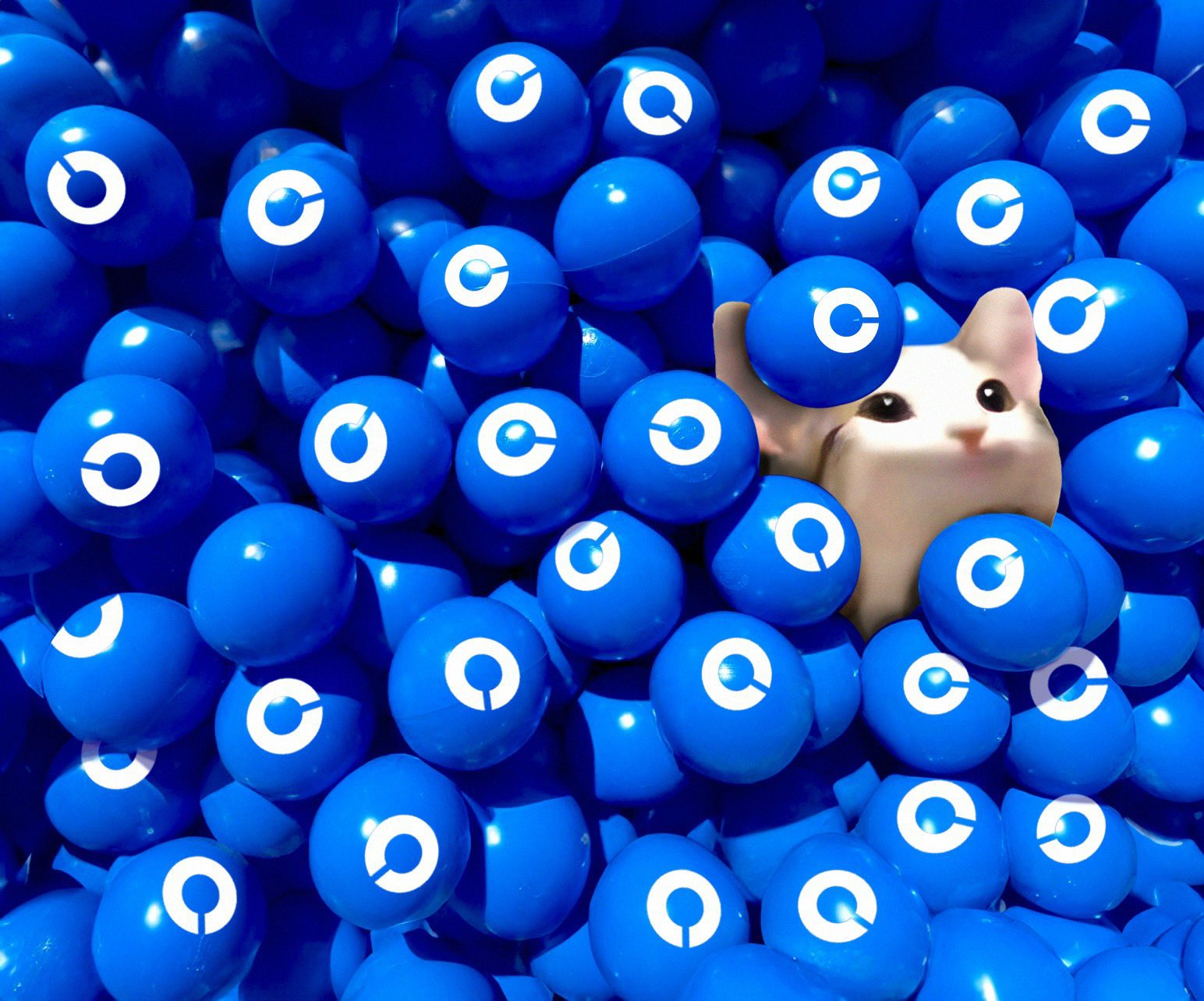 Popcat