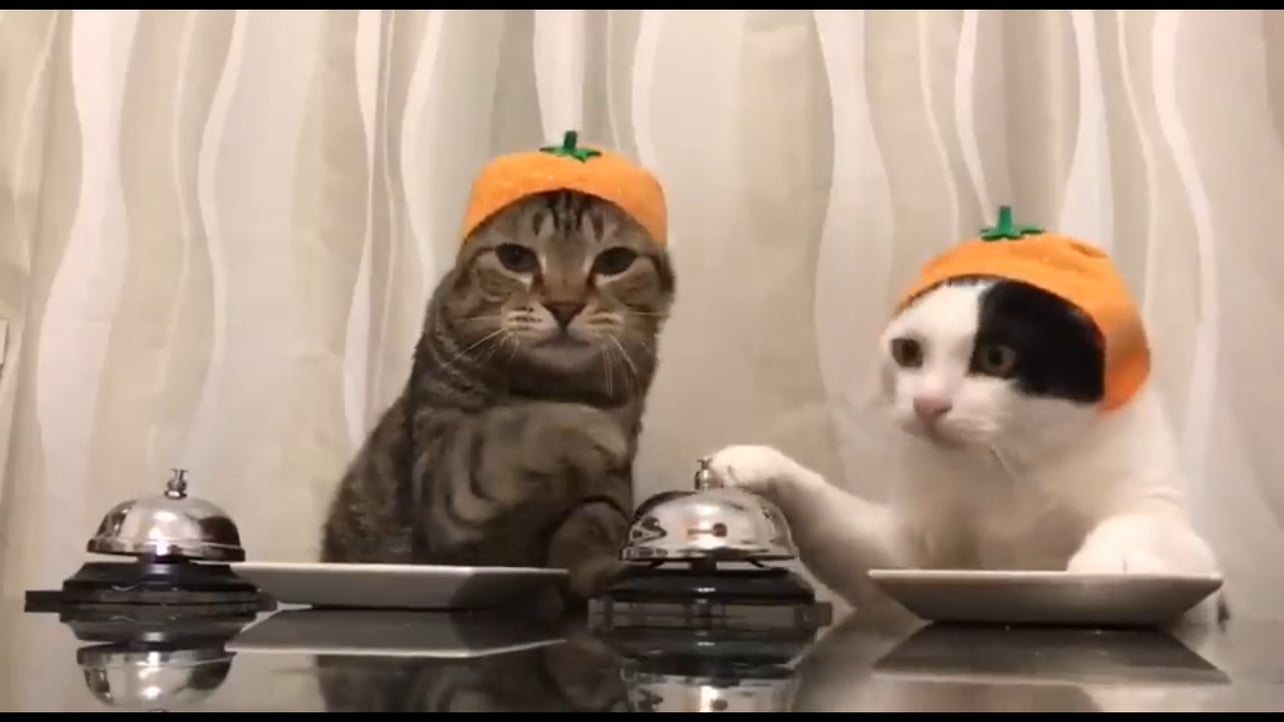 Andyfi (andyfi) Farcaster social identity (Fname handle) PFP