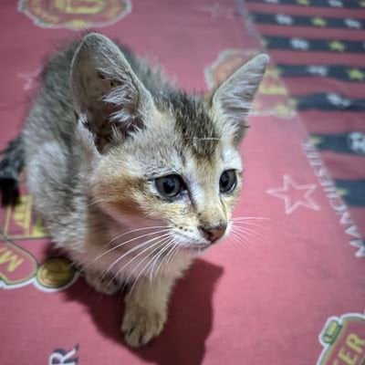 july (Ø,G)'s Farcaster avatar