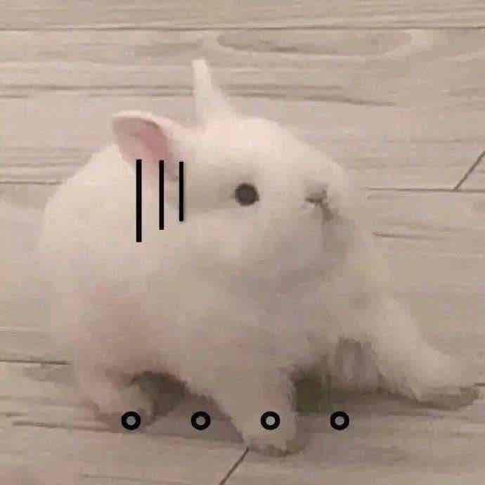 ebzqkz pfp