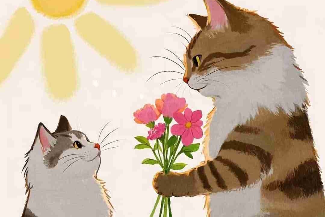 miraz (mirazsiuu.lens) Lens social identity (.lens handle) PFP