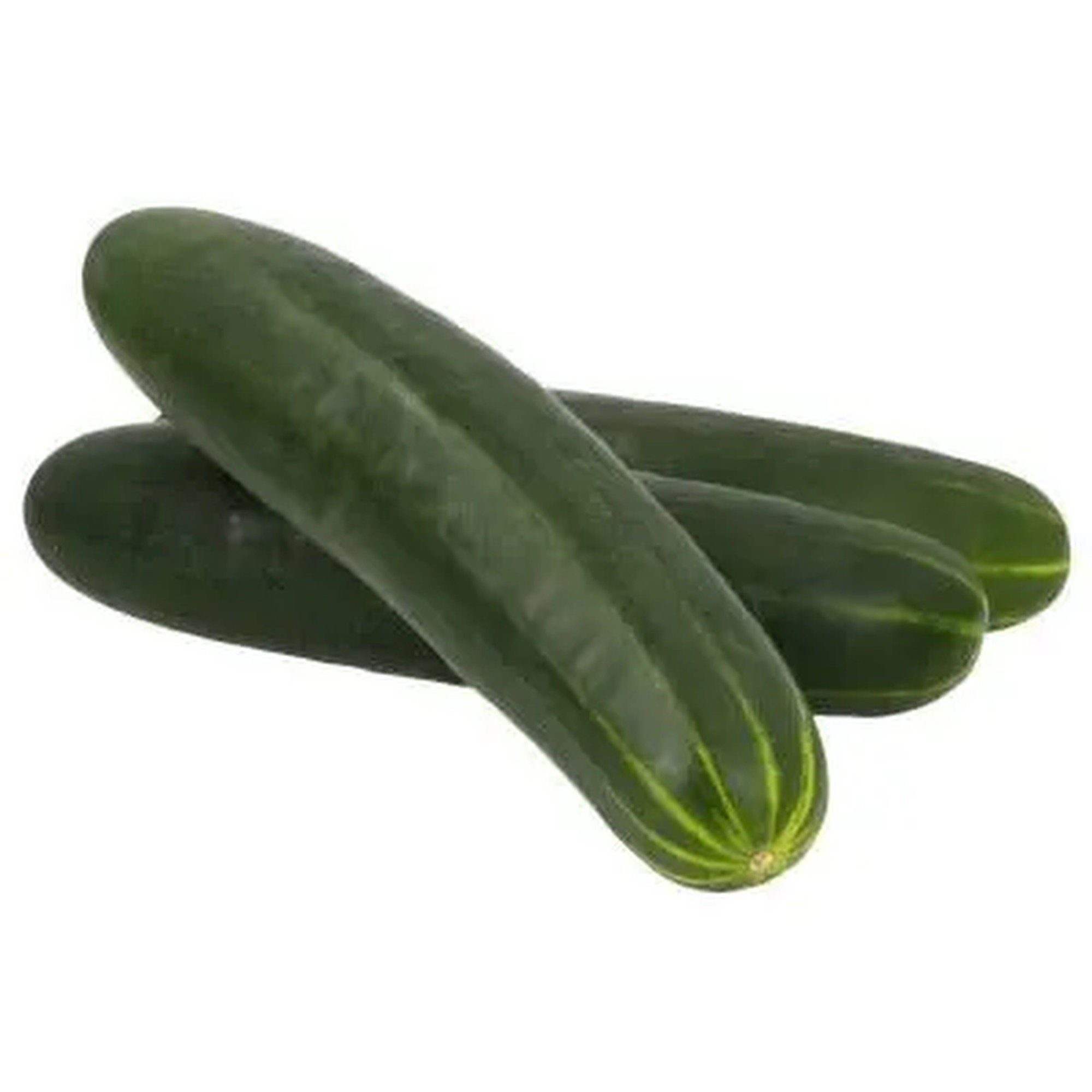 tomatr