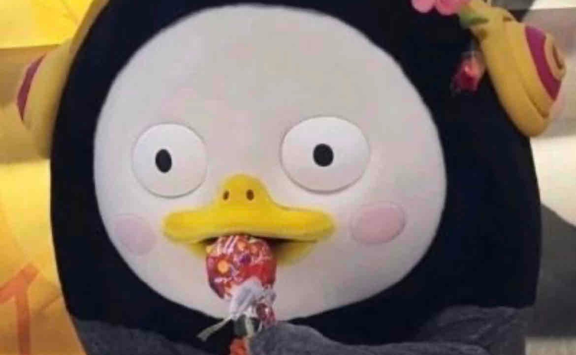 boyjson (fgy123.lens) Lens social identity (.lens handle) PFP