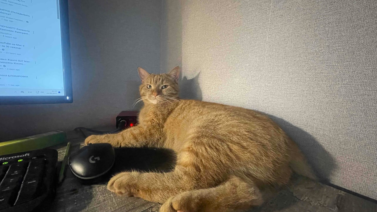 lineaparkl3.linea.eth Linea Name Service (.linea.eth domains) based on ENS PFP