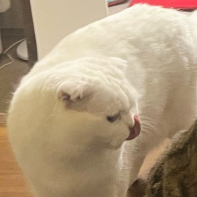 chicay pfp