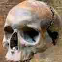 BehilentTacticGotta pfp