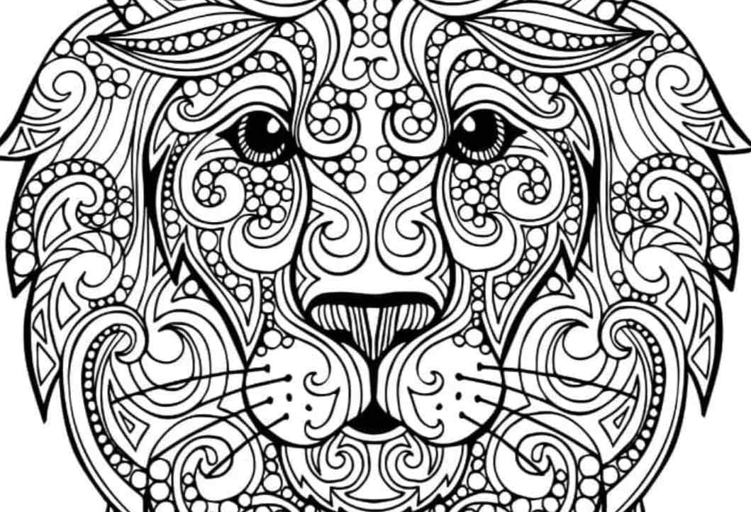 evgeniii (evgeniii.lens) Lens social identity (.lens handle) PFP